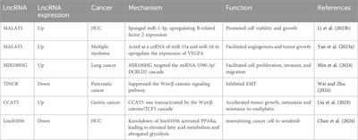 Current concepts of the crosstalk between lncRNA and E2F1: shedding light on the cancer therapy